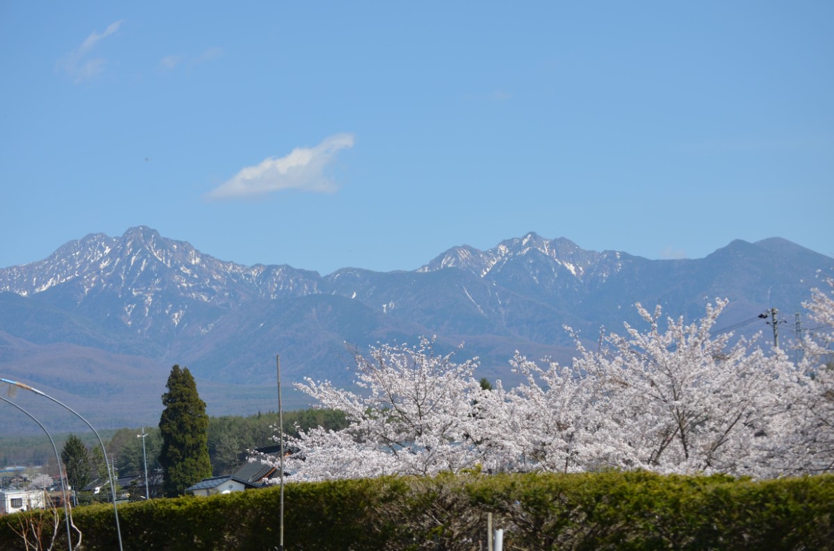 【2食付／14時アーリーチェックイン】21時間蓼科滞在プラン - 8