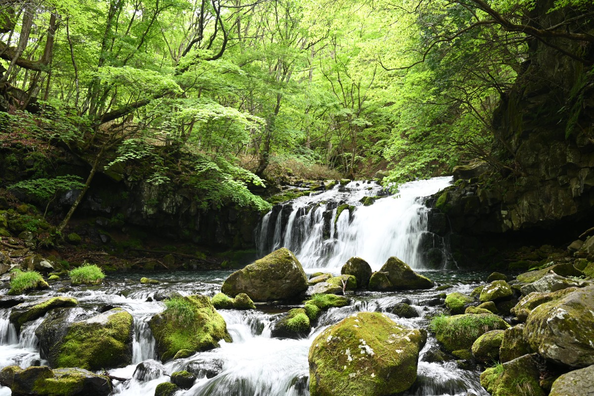 蓼科BASE kitchen, spa&hotel