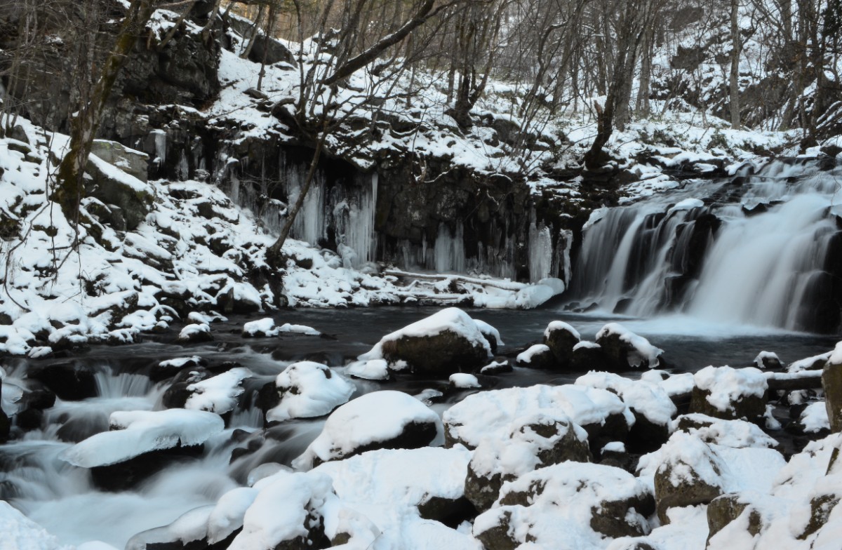苔と原生林の森を歩く蓼科大滝トレッキングツアー - 3