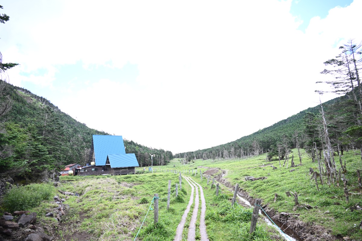 【7/11(土)9:00】自然／森の不思議を知る縞枯山登山 - 2