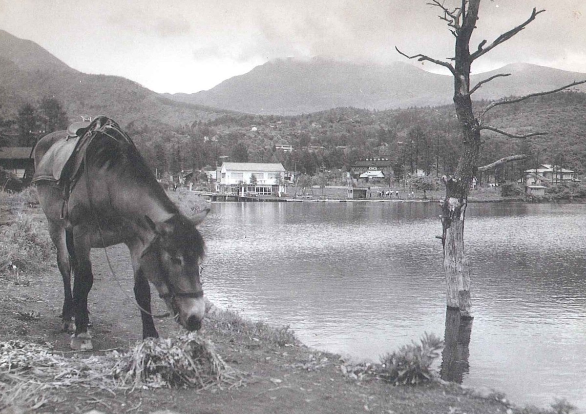 蓼科の今昔 蓼科タイムスリップツアー - 2