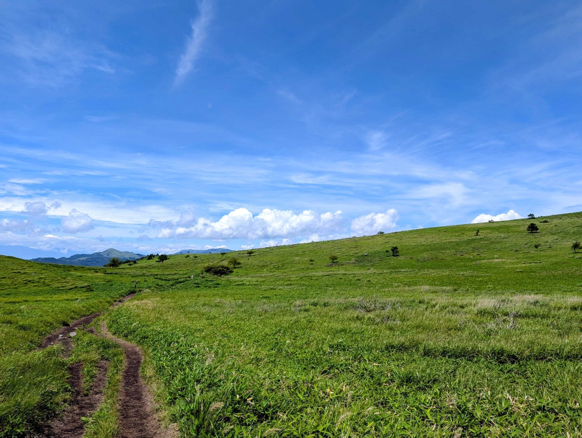 丸1日自然に没入したい！霧ヶ峰高原と八島湿原登山ツアー - 2