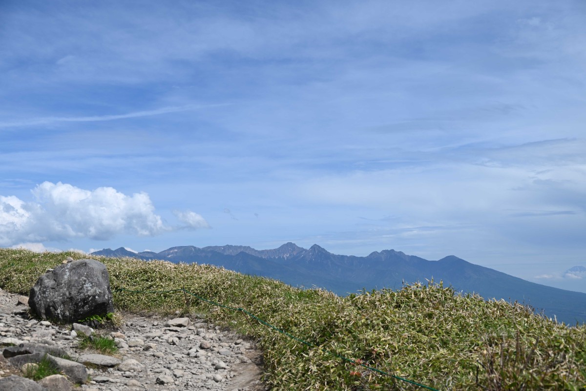 丸1日自然に没入したい！霧ヶ峰高原と八島湿原登山ツアー - 3