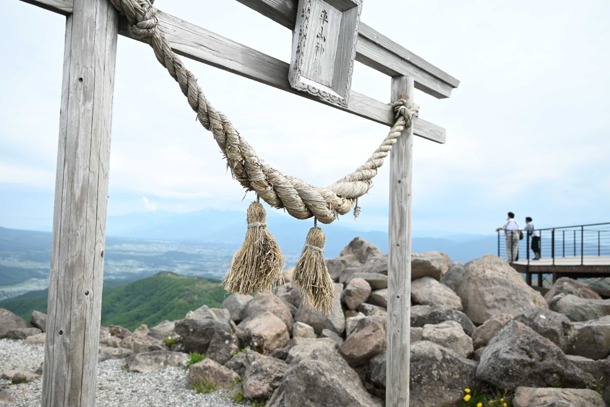 丸1日自然に没入したい！霧ヶ峰高原と八島湿原登山ツアー - 4