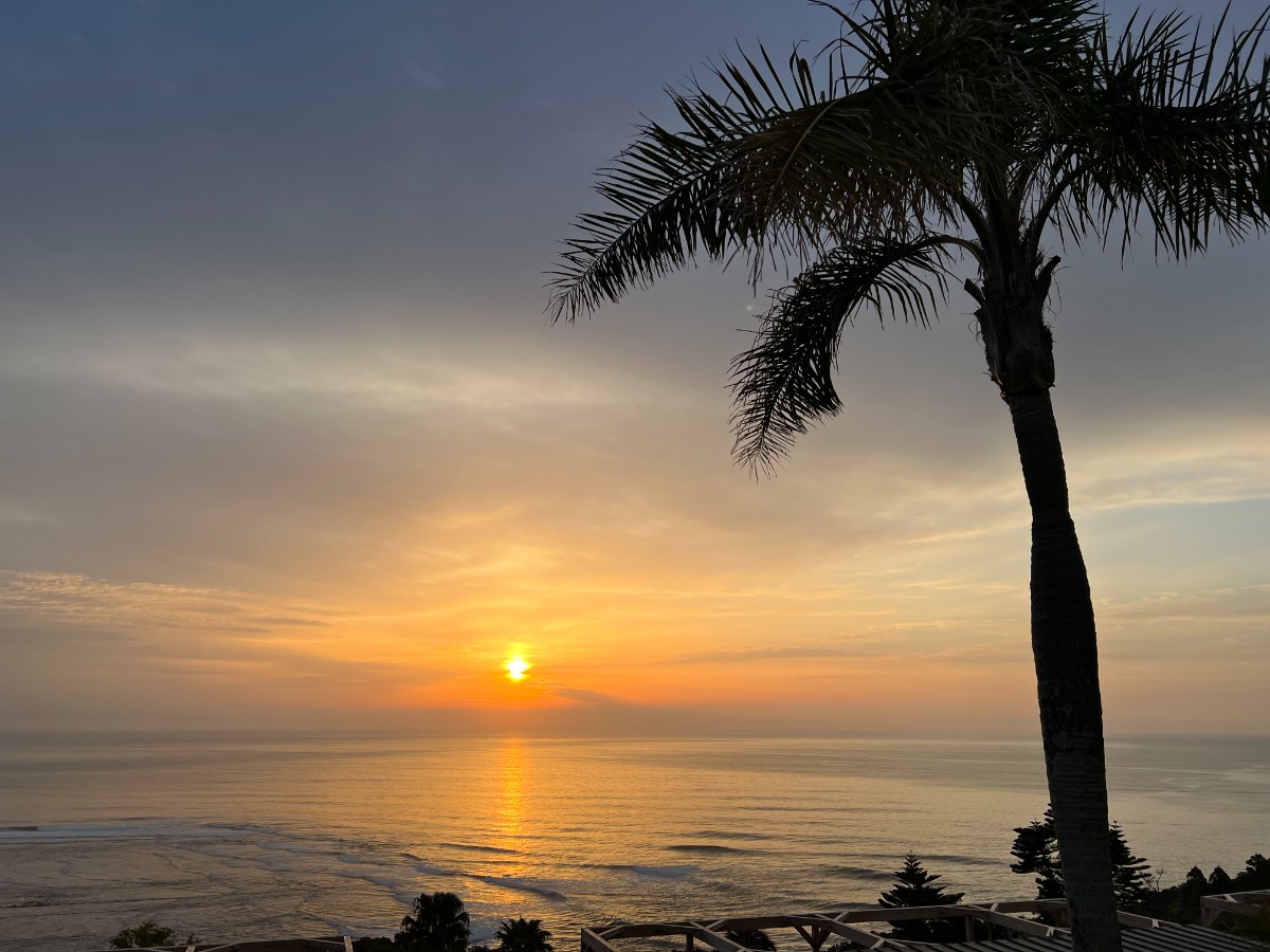 HILLSIDE 301（ペット可） - 15