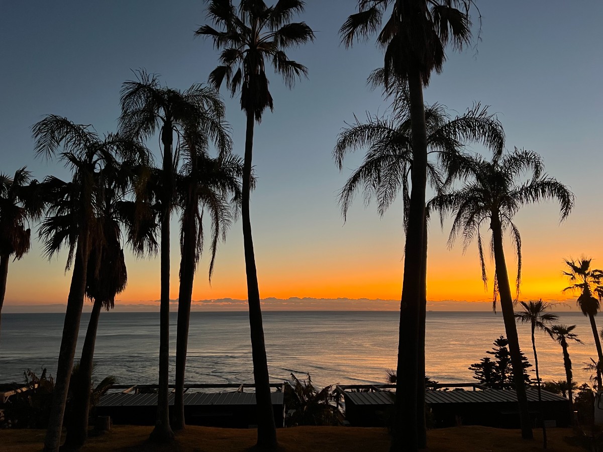 HILLSIDE 302（ペット可） - 10