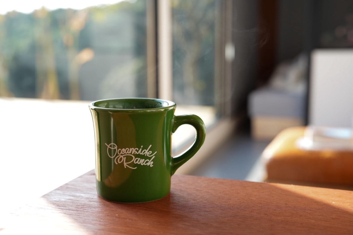 OCEANSIDE 102 (ペット可） - 17