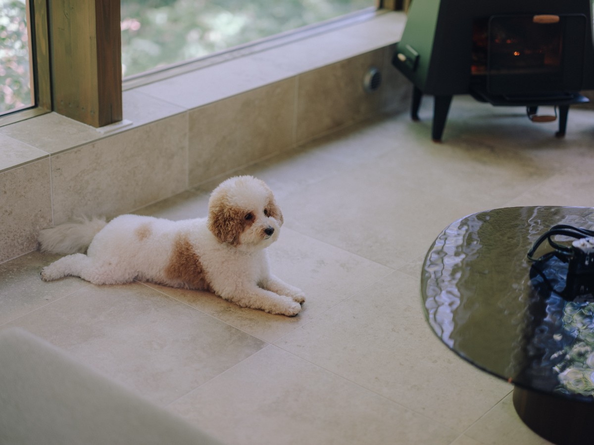 リバーサイドヴィラ八風台 - 4