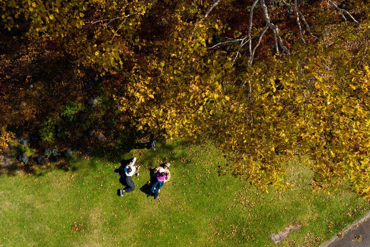 【宿泊】夏/秋 スタンダードプラン（朝食付） - 2