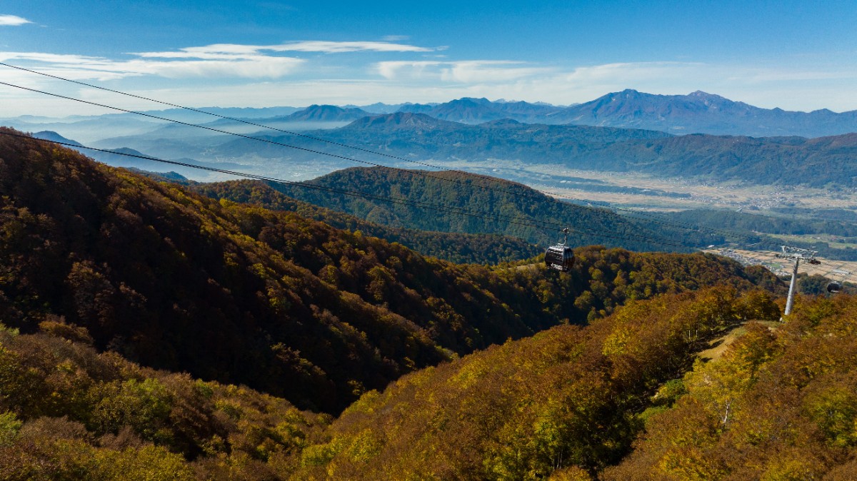 【宿泊】夏/秋 スタンダードプラン（朝食付） - 3
