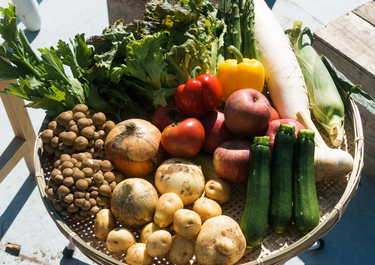 【宿泊】夏/秋 スタンダードプラン（朝食付） - 6