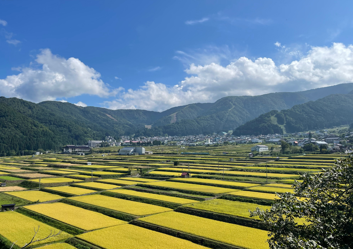 野沢温泉ロッヂ