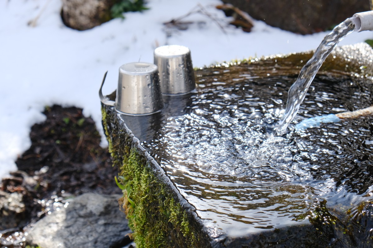 【宿泊】湧水テントサウナ＋お花見BBQ（ルーフトップ貸切） - 5