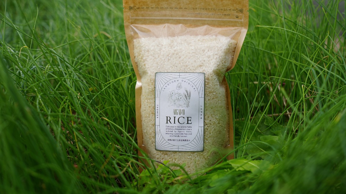 Landform workshop cottage Keihoku - 16