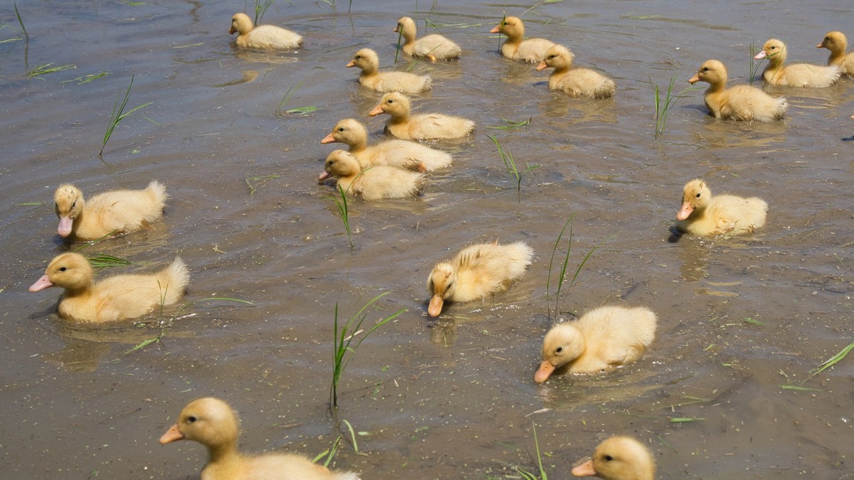 Landform workshop cottage Keihoku - 17