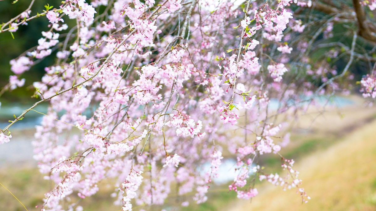 Landform workshop cottage Keihoku - 18