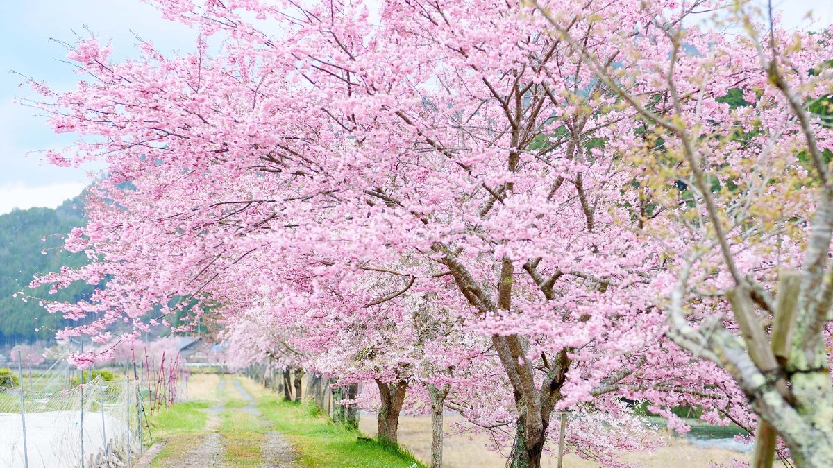 Landform workshop cottage Keihoku - 19