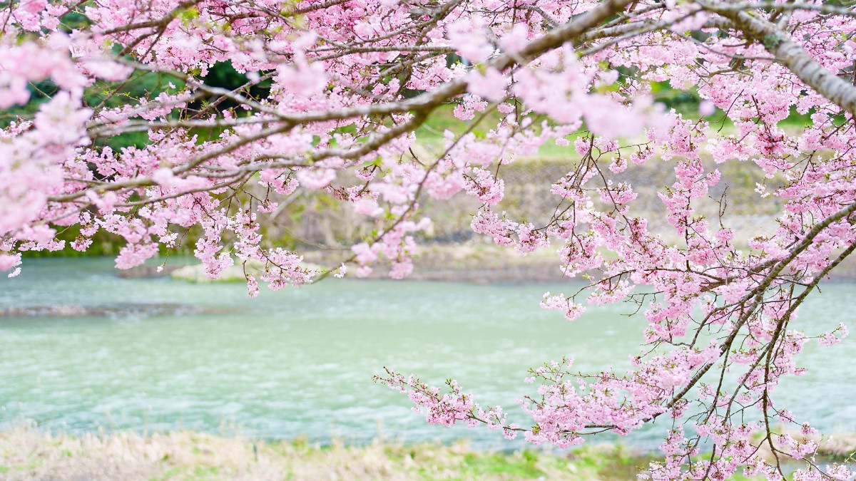 Landform workshop cottage Keihoku - 20