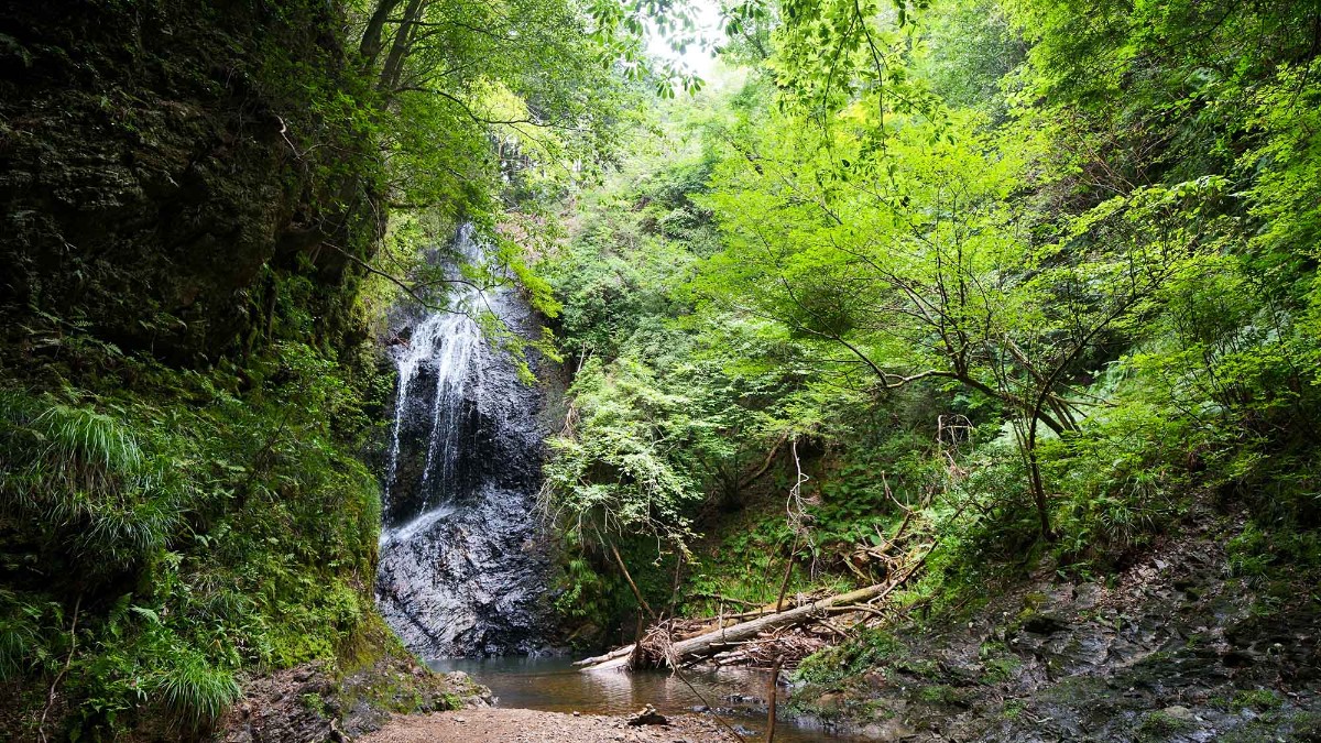 Landform workshop cottage Keihoku - 22