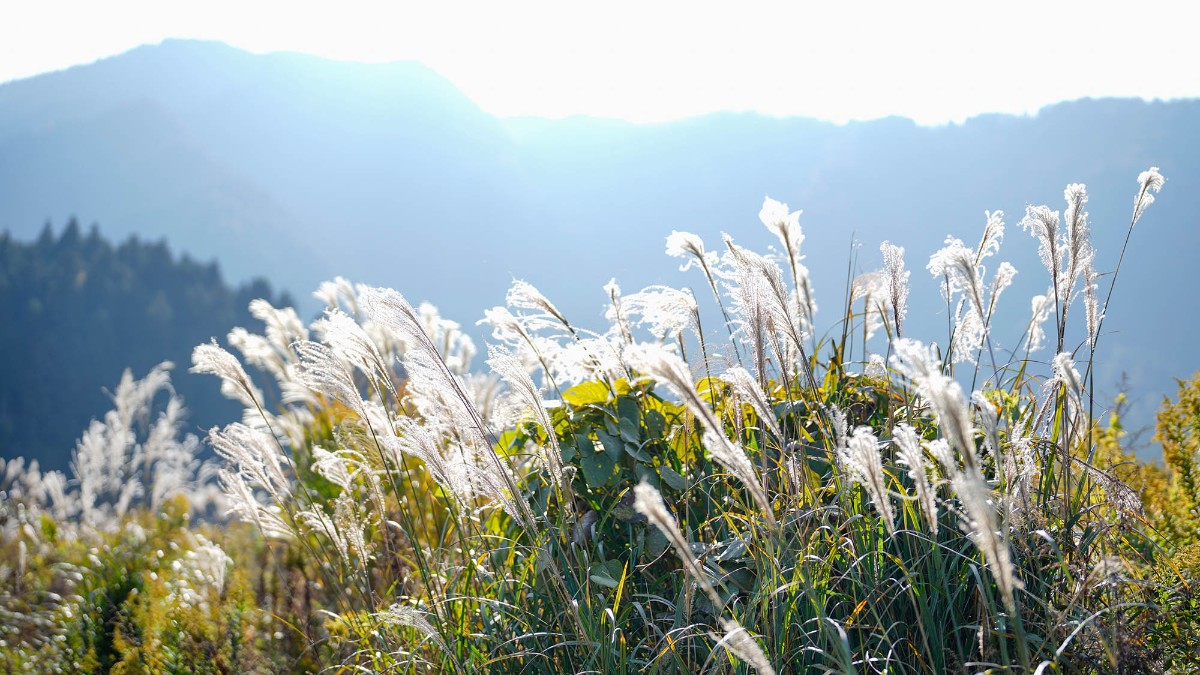 Landform workshop cottage Keihoku - 24
