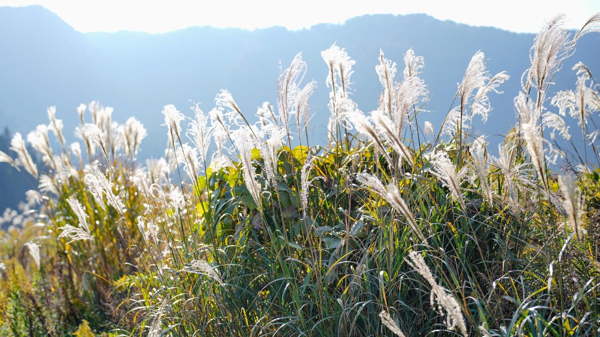 Landform workshop cottage Keihoku - 25