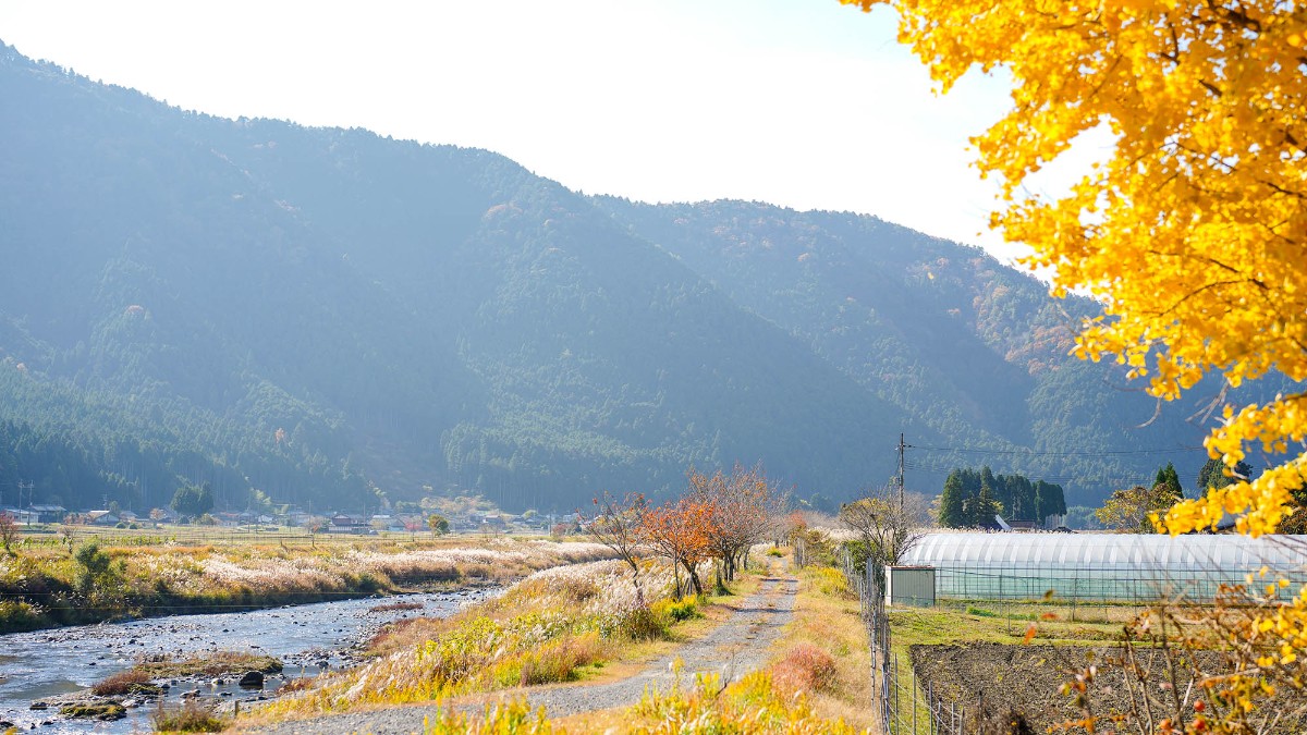 Landform workshop cottage Keihoku - 26