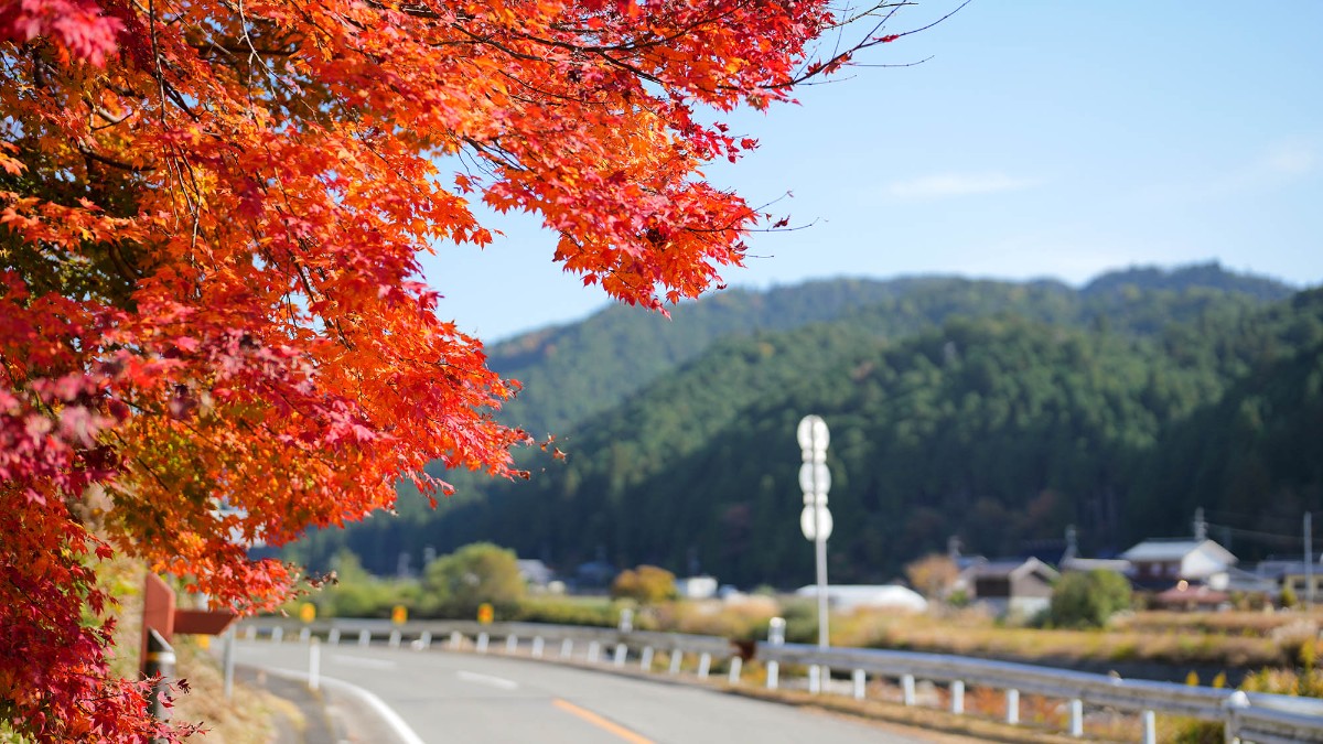 Landform workshop cottage Keihoku - 27