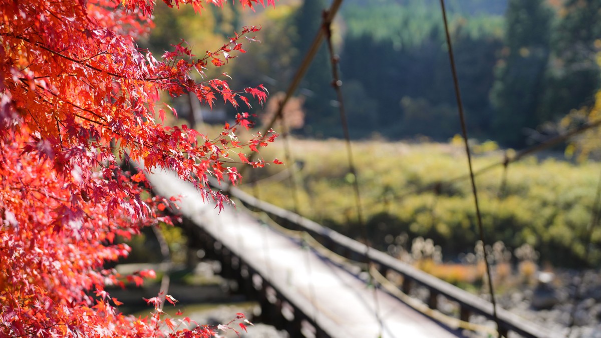 Landform workshop cottage Keihoku - 28