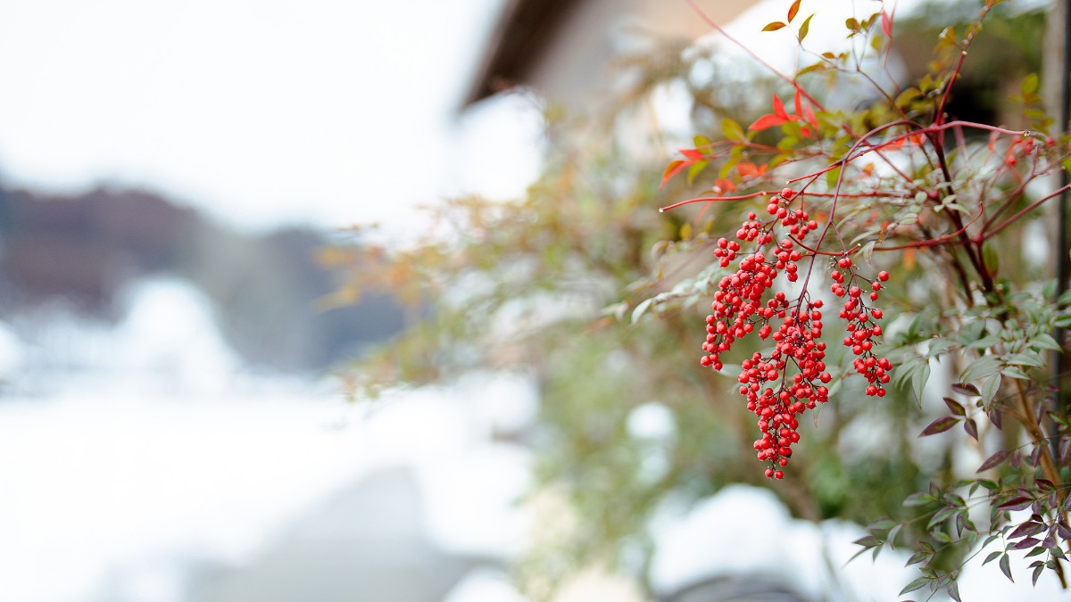 Landform workshop cottage Keihoku - 33