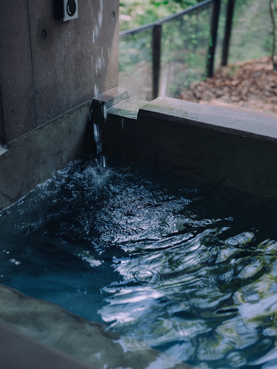 7月〜/プライベートサウナ付きプラン（愛犬2頭/焚き火） - 3