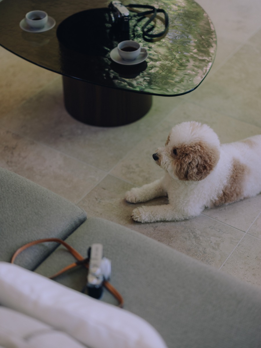 開業記念【おやつギフトバッグ】愛犬のための記念日 - 3