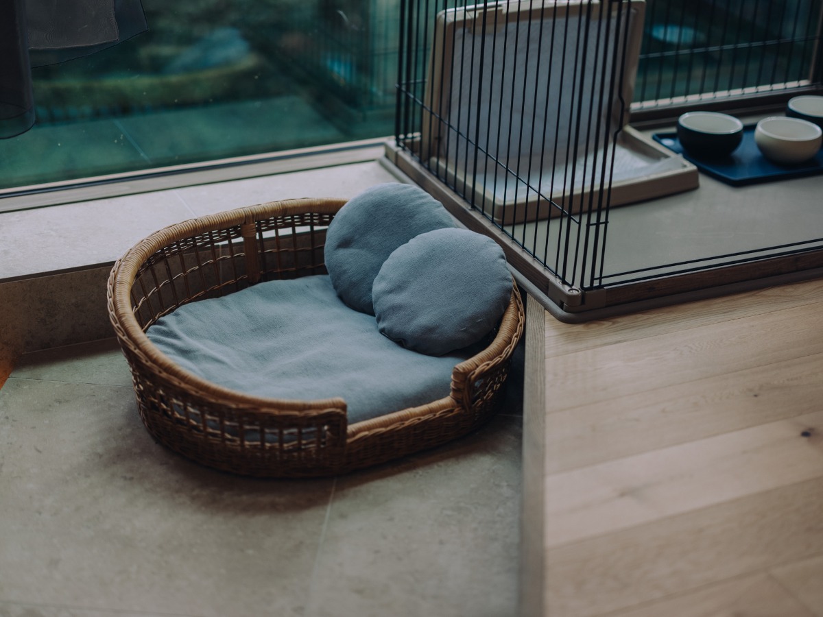 〜26年6月/開業記念軽井沢365プラン(愛犬2頭/焚き火 - 5