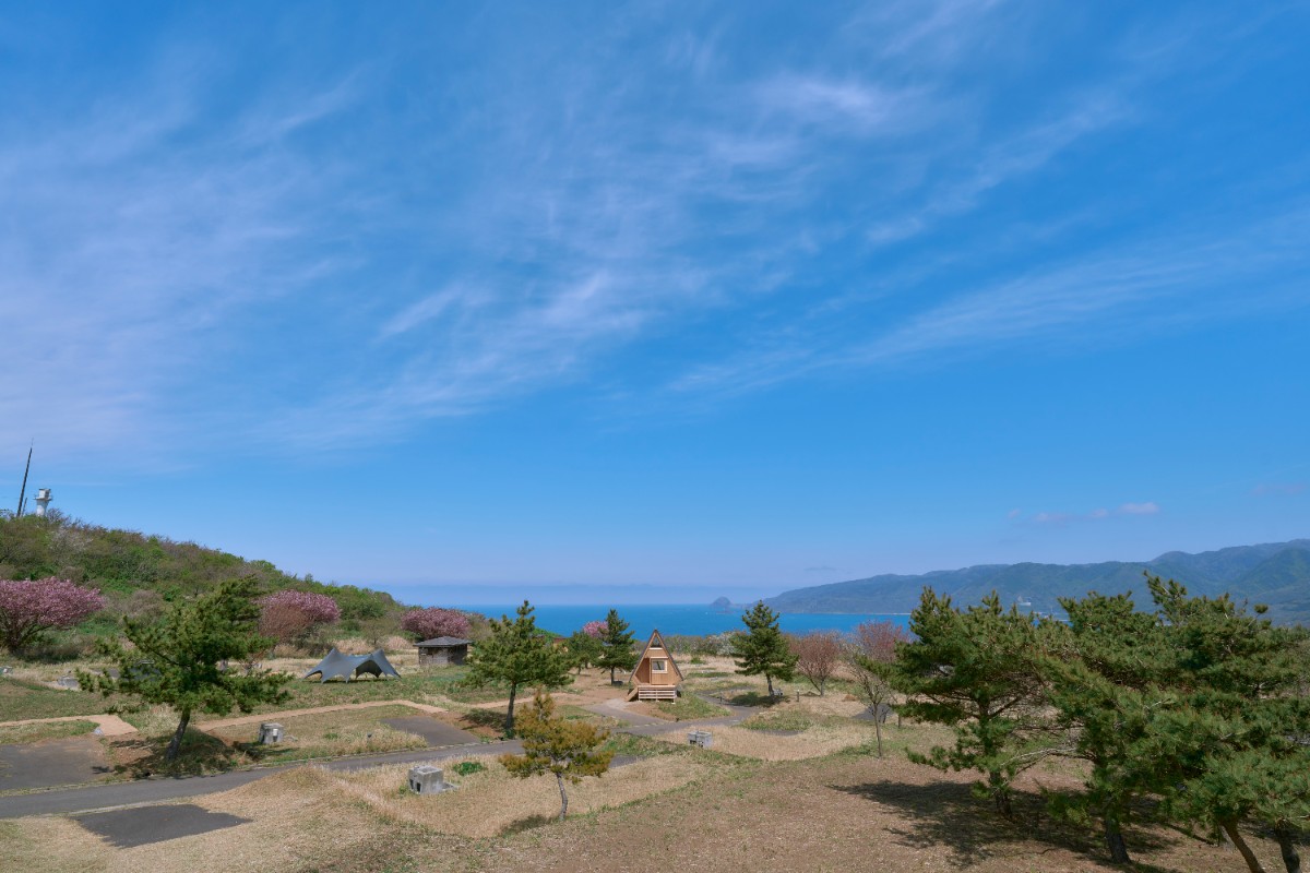 区画サイト（キャンプギアレンタル付き）