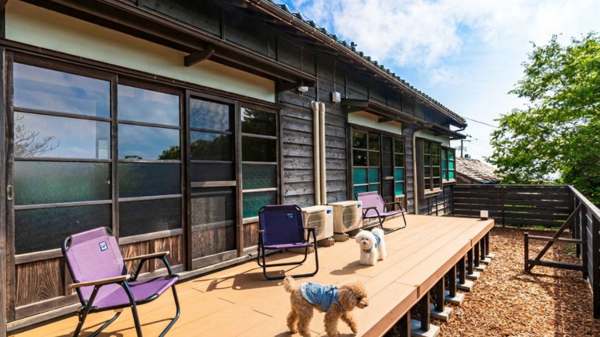 【ペット可モニター｜1泊2食】愛犬と一緒に愉しむBBQプラン - 2