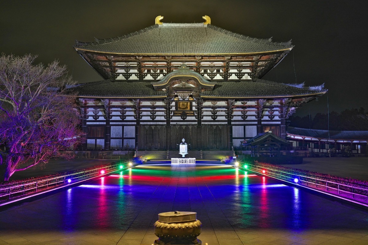 【2/8~2/14限定】冬の夜 奈良瑠璃絵を愉しむ - 9