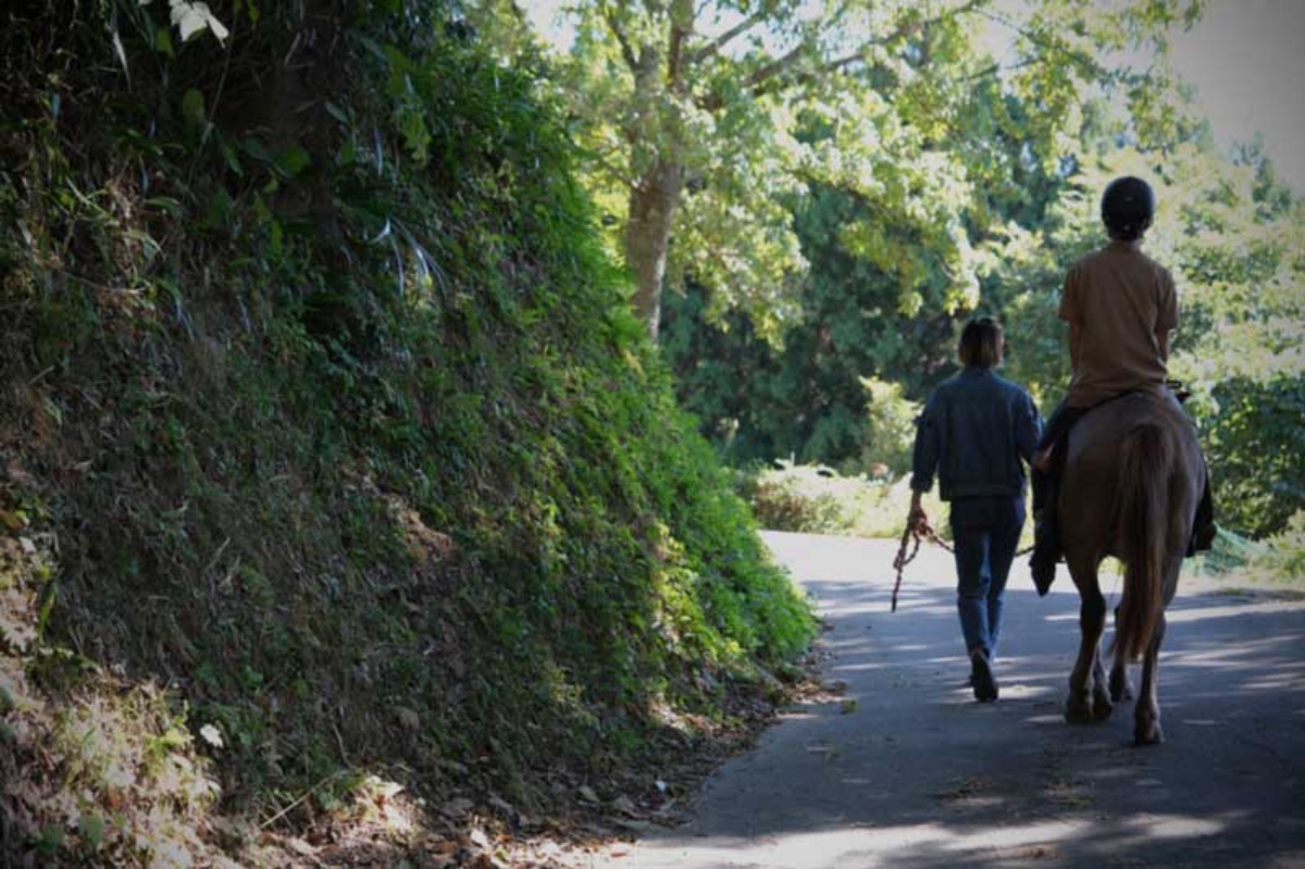 午前 : 日帰りさとやま乗馬【縁側でcafe Time付き】