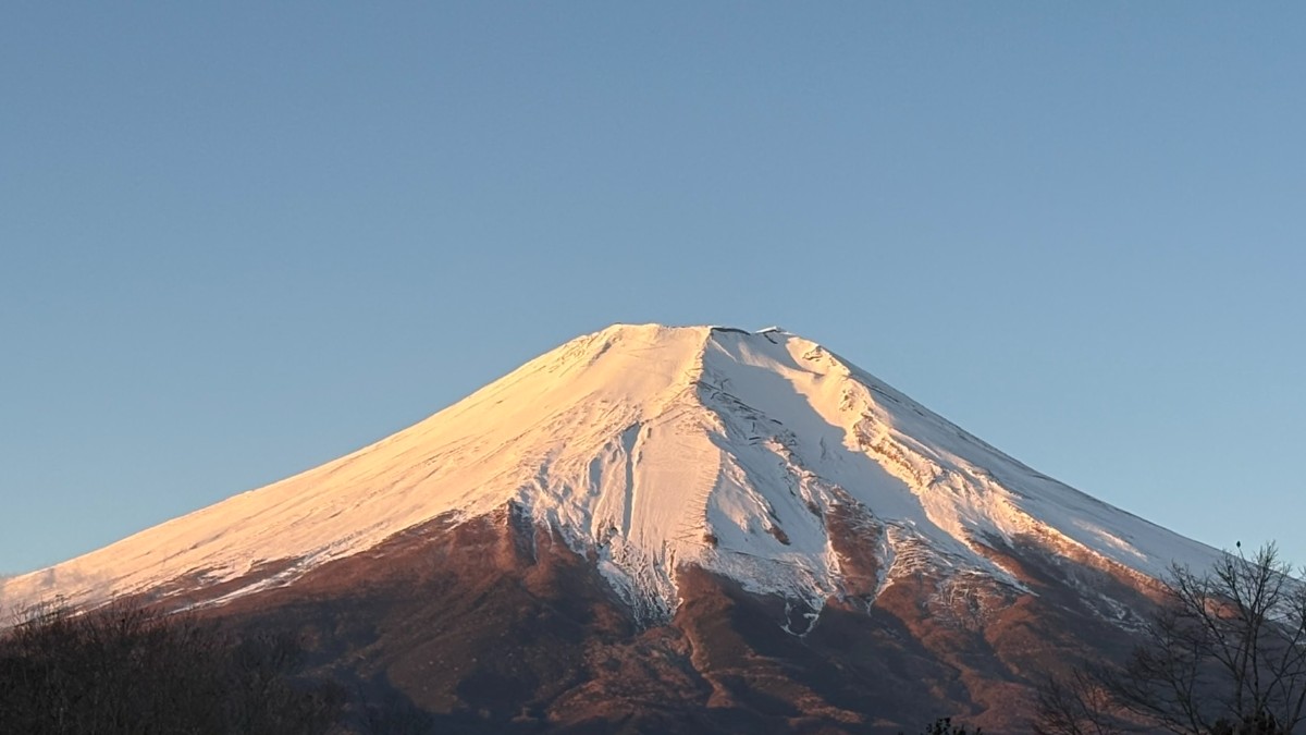 Vegetarian House Jamoo(菜食の宿ジャムー） - 12