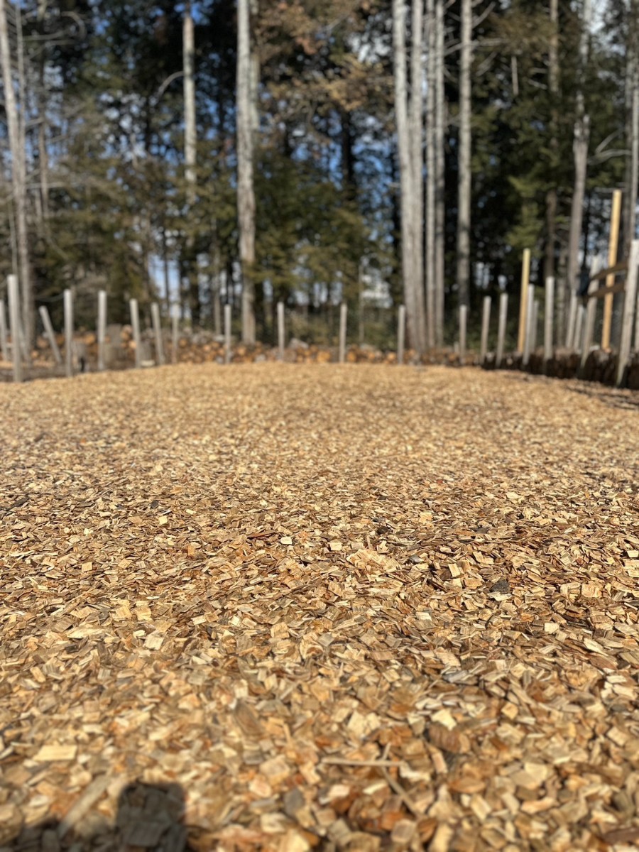 デイキャンプ【ドッグランサイト電源付き】 - 3