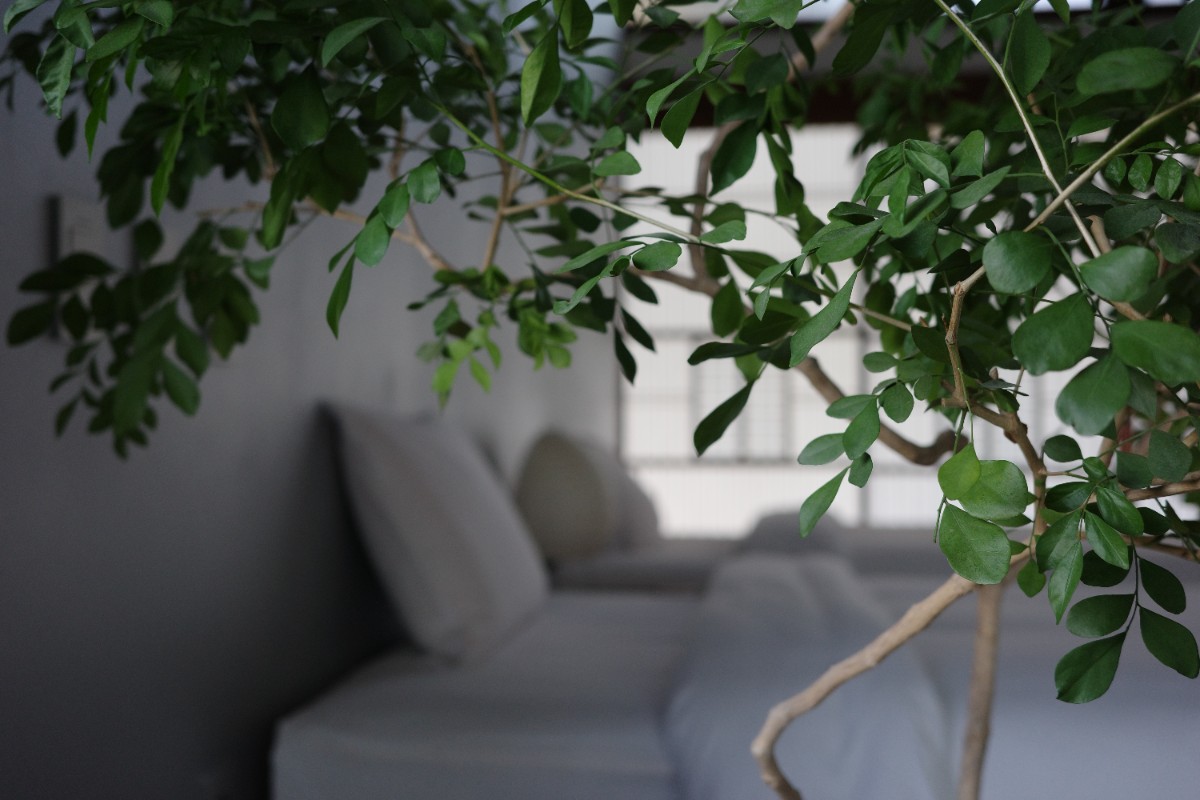 ROOM ONLY プラン - 8