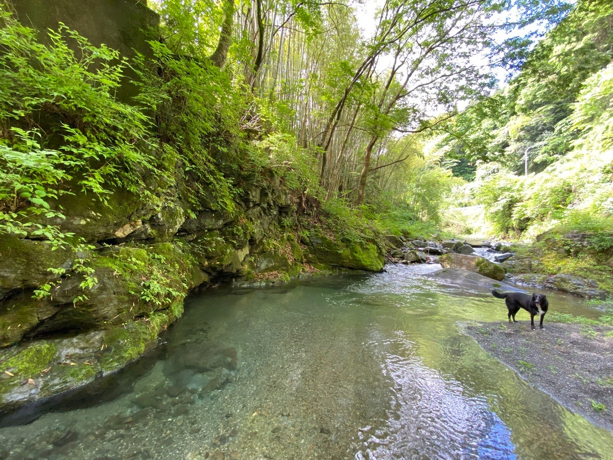 sauna・時間枠の貸切 - 6