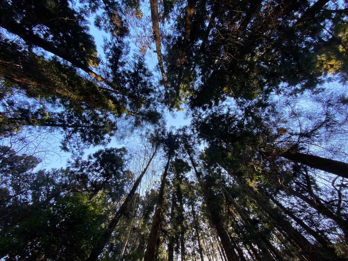 sauna ・1day まるっと貸切  - 2