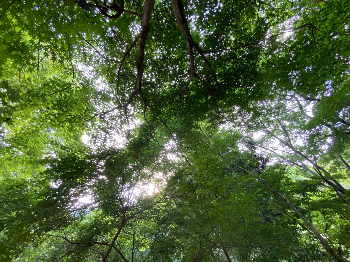 sauna ・1day まるっと貸切  - 5