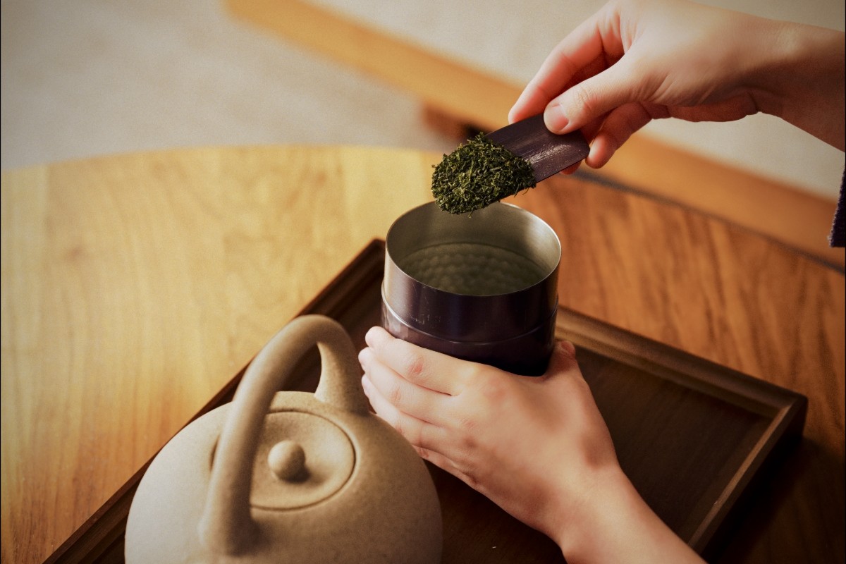 伊豆名産 深蒸し「ぐり茶」のテイスティング＆ロウリュ体験