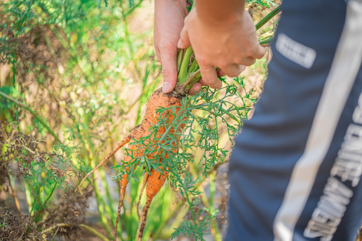 HANABI棟 素泊まりプラン - 12