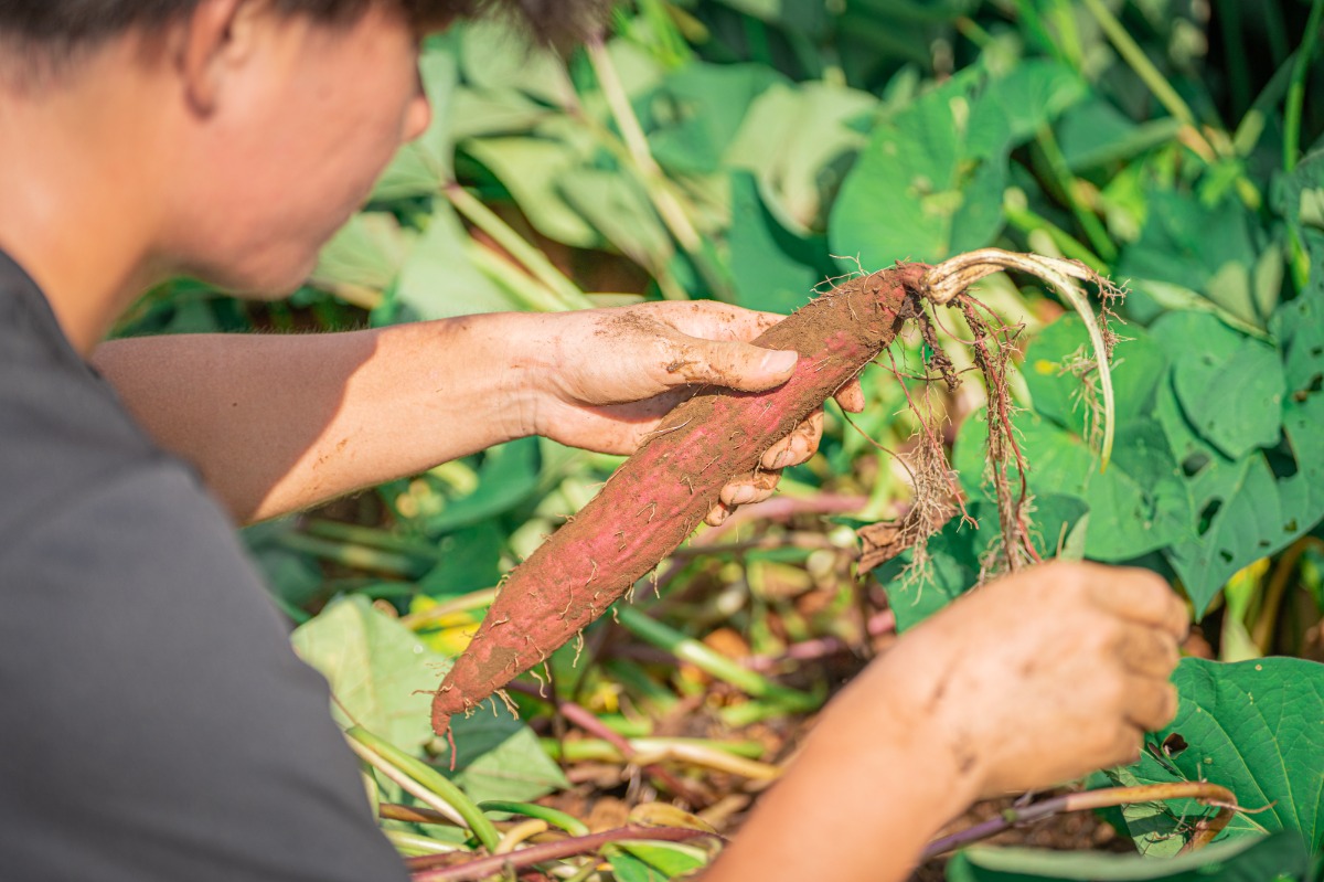 HANABI棟 素泊まりプラン - 13