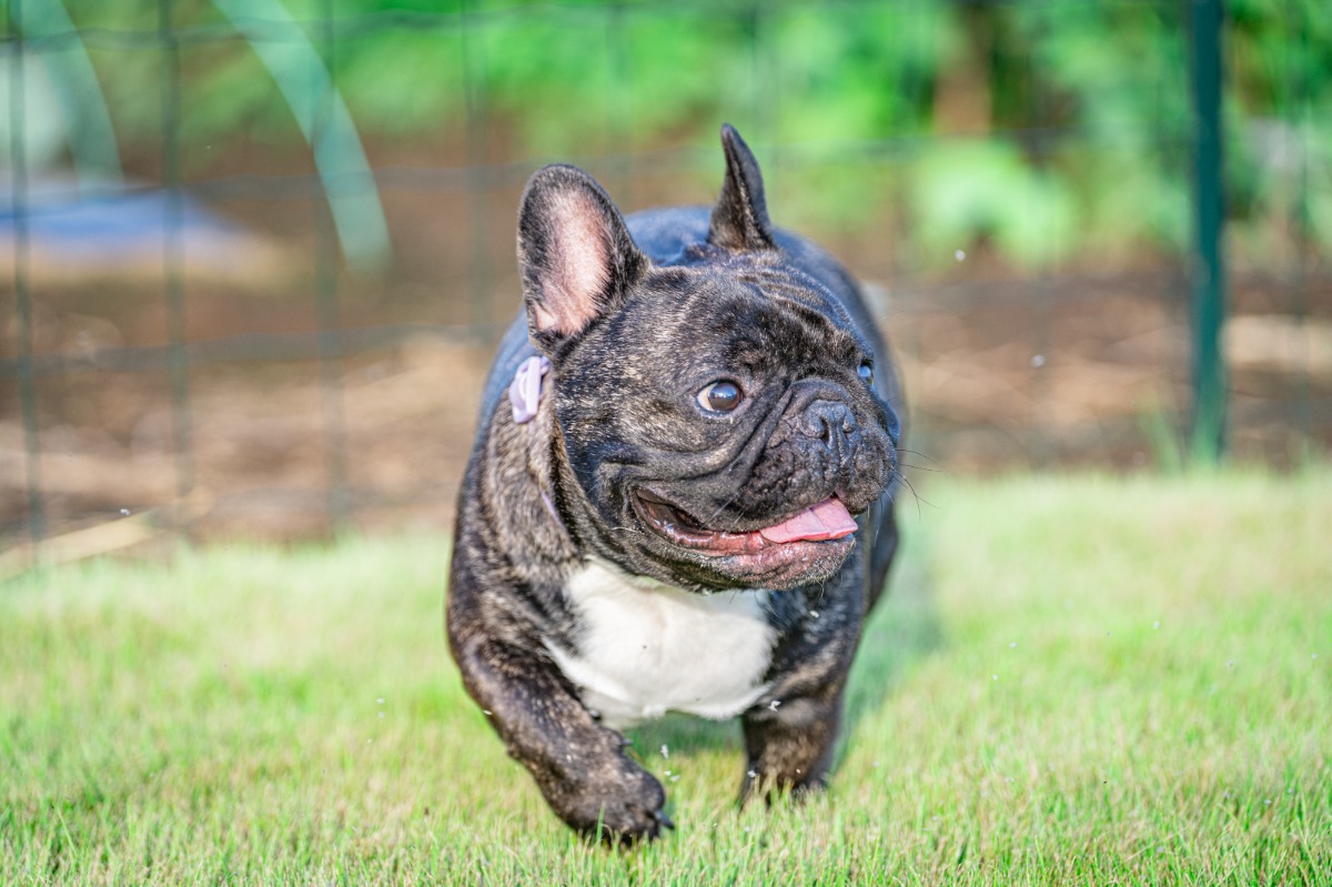 ABURATA BASE棟 素泊まりプラン - 56