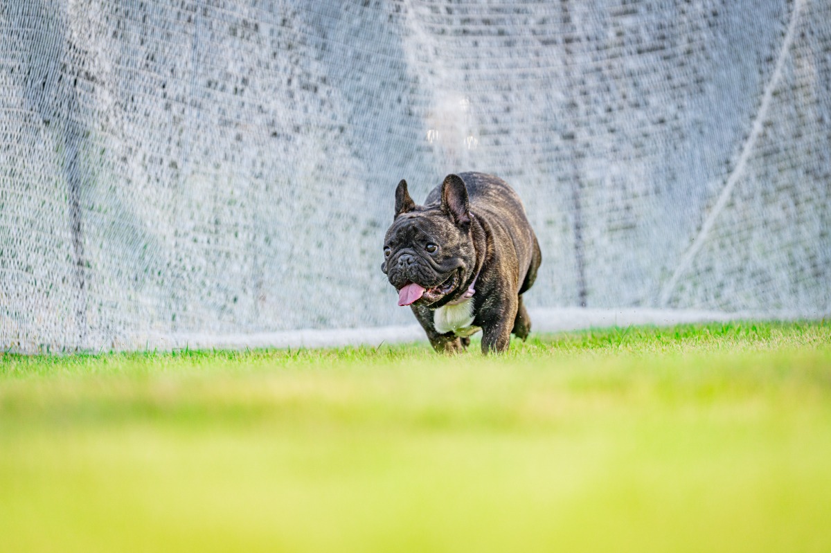 ABURATA BASE棟 素泊まりプラン - 57