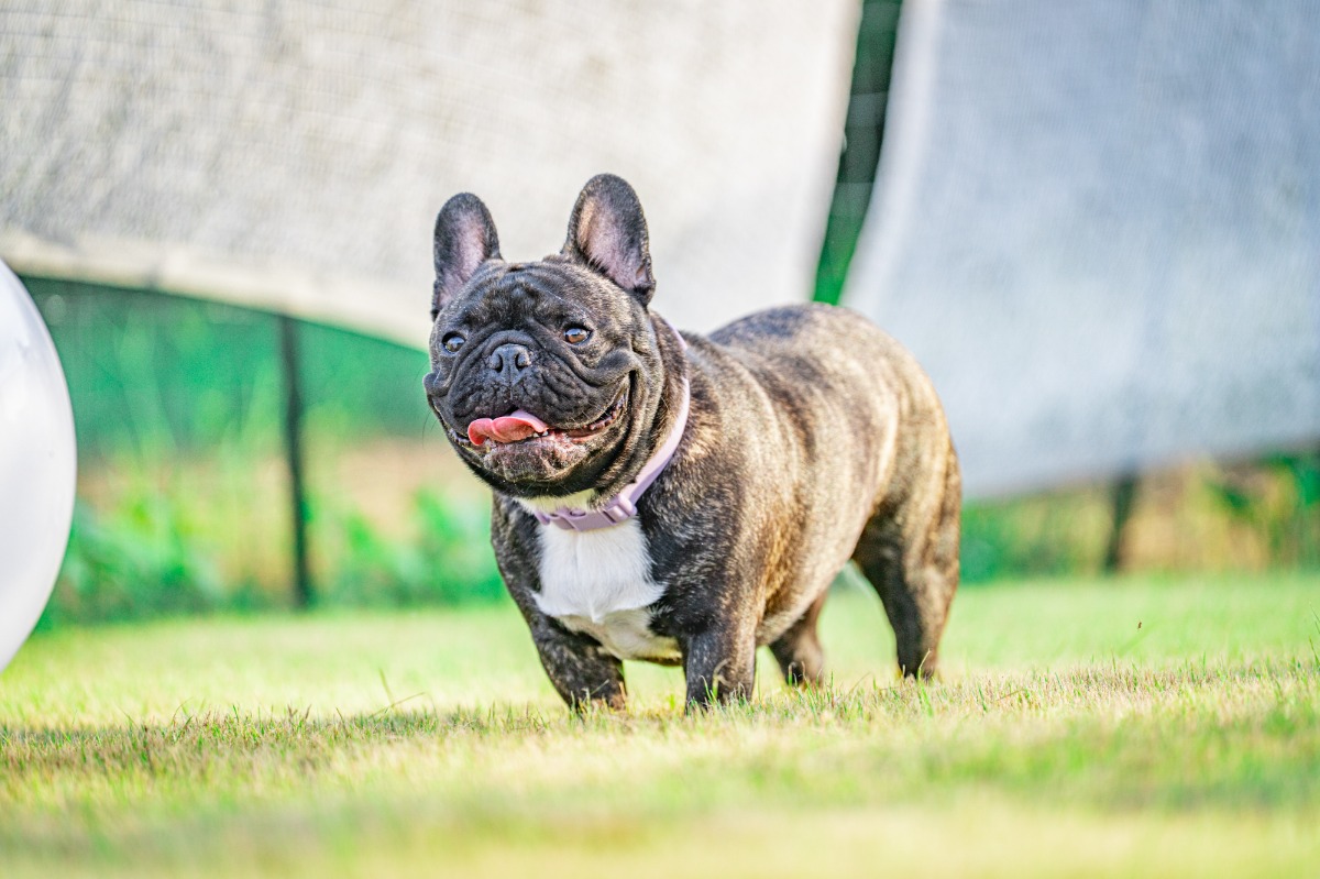 ABURATA BASE棟 素泊まりプラン - 58