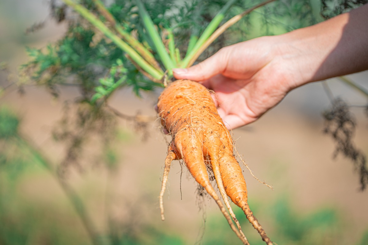 ABURATA BASE棟 素泊まりプラン - 59