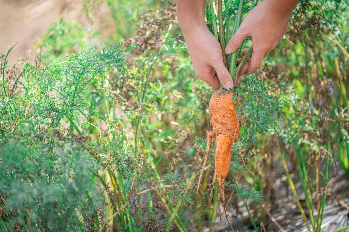 ABURATA BASE棟 素泊まりプラン - 60